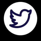 twitter-icon